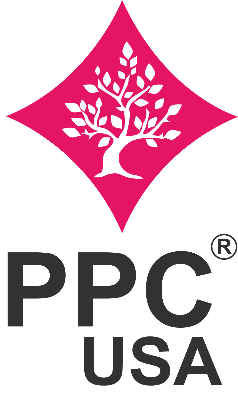 Collaborated with PPC, a USA-based brand, to create and manage impactful ad campaigns